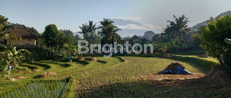 Tanah area sidemen karangasem view gunung agung 1