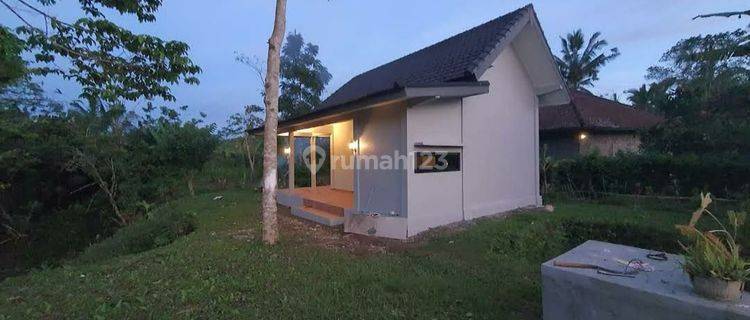 Rumah Mungil Dalam Kebun Luad Area Selemadeg Tabanan 1