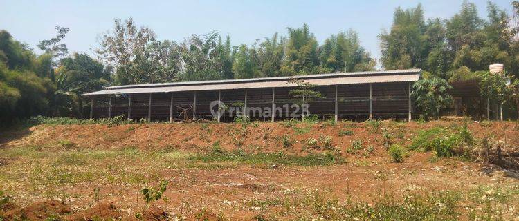 Dijual Lahan Peternakan Ayam Petelur di Gondang, Mojokerto 1