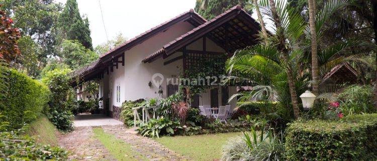 Villa Siap Huni Grand Trawas Blok D Jalan Kembar View Hutan Pinus 1