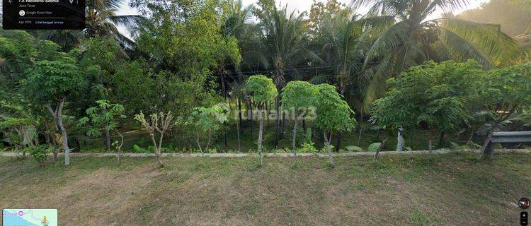 Tanah Pacitan Jawa Timur Lokasi Main Road Dekat Pantai Resort  1