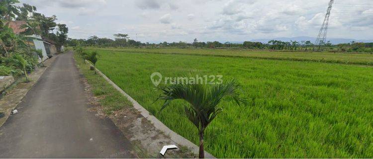 Tanah kavling murah harga promo dibelakang SMKN 2 Klaten, senden Tanah di Senden, ngawen, klaten. SHM m² 257 1