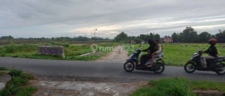Tanah kavling murah pinggir jalan sekarsuli - senden, klaten Tanah di Jl. Sekarsuli - senden, ngawen, klaten SHM m² 1