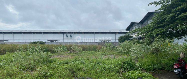 Kavling Sawah Luas Tanah 5000m2 di Salembaran Jati Kosambi 1