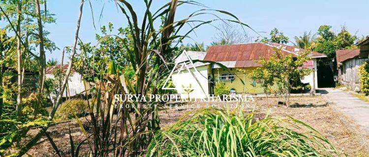 Tanah Jalan Siliwangi Percut Sei Tuan  1