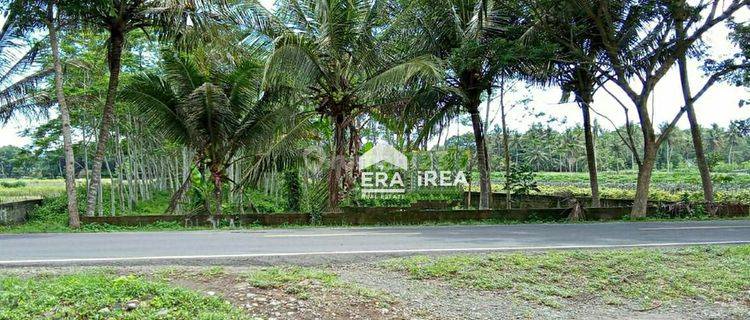 Tanah Murah Purworejo Dekat Bandara Yia 1