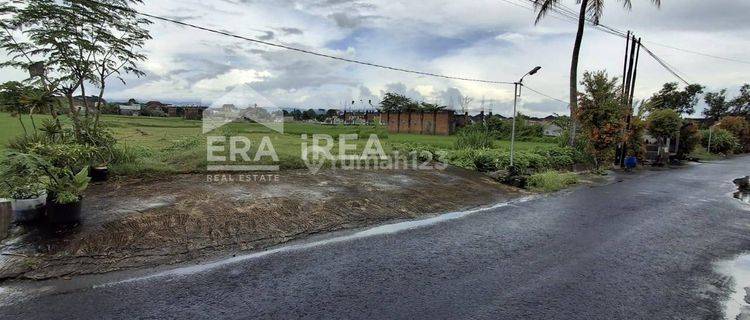 Tanah Jogja Dijual Dekat Pasar Ngoto  1