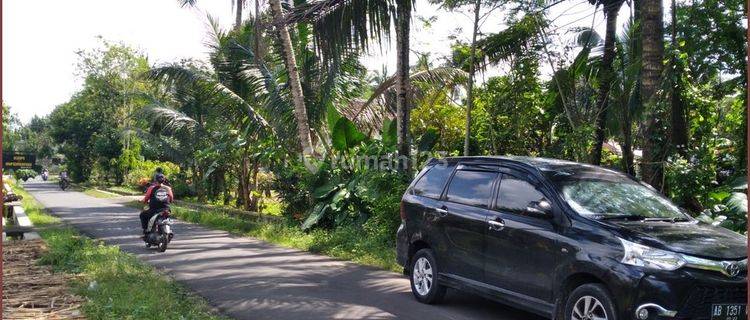 Tanah Murah Mangku Aspal Di Borobudur Magelang 1