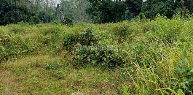 Dijual Murah Tanah di Serang Timur Lokasi Strategis Pinggir Jalan 1