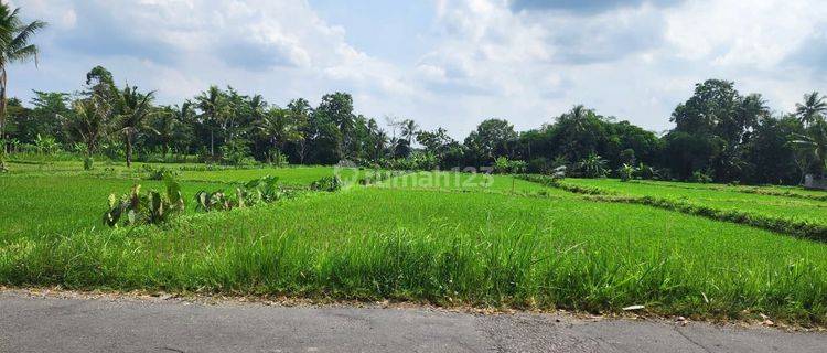 Tanah Peruntukan Kost UII, SHM Pekarangan  1