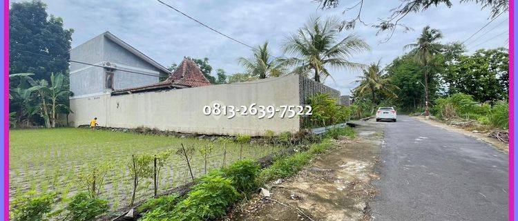 Jual Tanah Murah SHM Sawah 50 M Jl Besi Jangkang 1