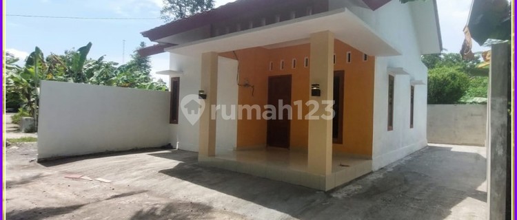 House 380 Million Nett Jl Parangtritis Bantul 1