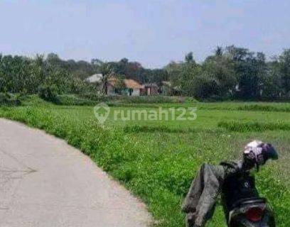 Dijual Kavling Tanah Sawah di Kec. Rajeg Tangerang By Rumah Chinida 1