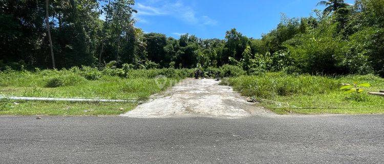 Dijual Tanah Jogja Barat, Ld 8 Meter, Tepi Jalan Kulonprogo 1