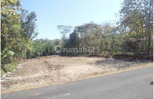 Tanah Investasi Untung di Temon, Kulon Progo SHM 141 m² 1