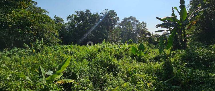 Tanah Luas Dekat Perumahan Besar, Cocok Untuk Mini Cluster Pd025 1