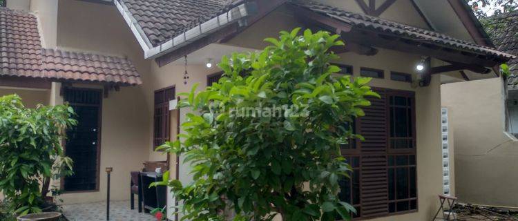 Disewakan Rumah Bagus Dan Terawat Lokasi Strategis 1