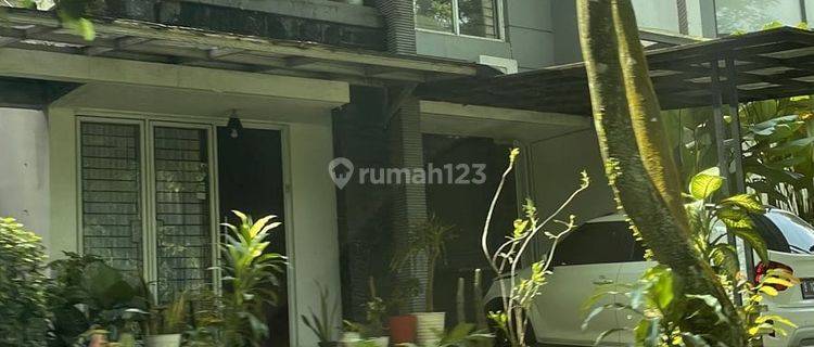 Disewakan Rumah Bagus Dan Terawat Lokasi Strategis Dibsd City 1