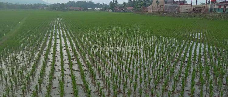 Di Jual Cepat Tanah di Cibeber Cianjur  1