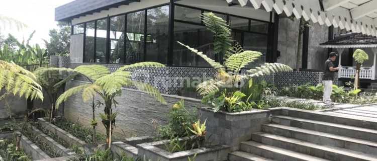 FOR SALE: BEAUTIFUL HOUSE BELOW MARKET PRICE IN BALI 1