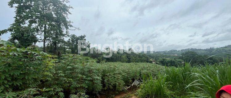 TANAH LUAS MAROS KECAMATAN TOMPOBULU  1