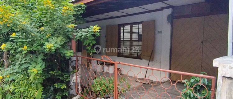 Rumah Daerah Tidar Bisa Untuk Kantor  1