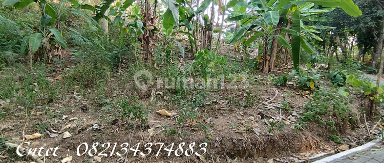 Tanah Dijual Dekat Greenwood Estate Semarang, Harga 350 Ribuan 1