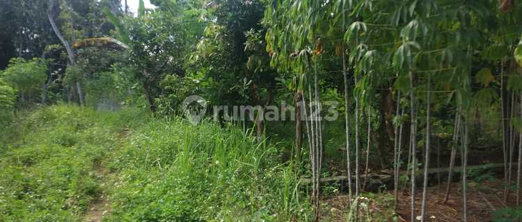 Tanah Dijual di Selatan Bsb City, Ngaliyan Semarang, Dekat Kopi Blirik 1