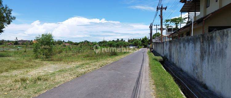 Dijual Tanah Dekat Rsud Wates, Lt 180m2 1