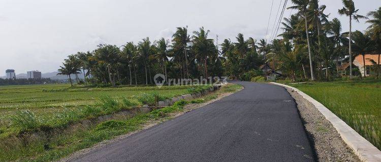 Dijual Tanah Ditepi Jalan Ke Pantai Glagah, Dekat Bandara Yia 1