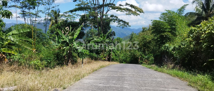 Dijual Tanah Luas, Murah di Kedungboto Kendal Jateng, Harga 195Ribuan/M2 (Nego) 1