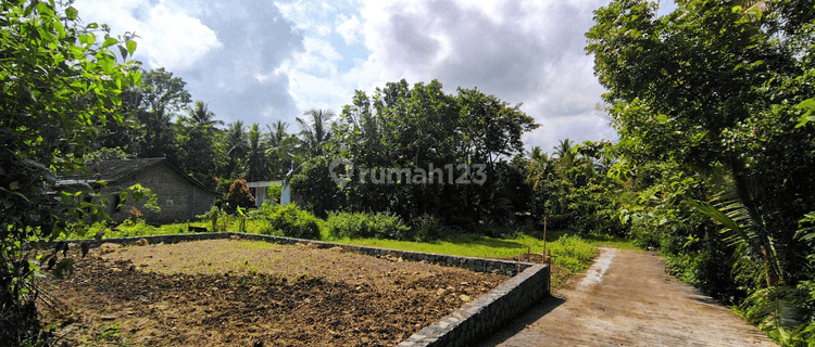 Dijual Tanah SHM Pribadi Dekat Kampus Janabadra Wates Kulon Progo 1