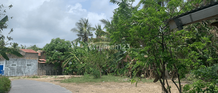 5 Menit Bandara Yia Wates Dijual Tanah SHM Di Tawangsari Pengasih 1