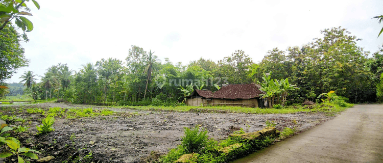 Siap Ajb Notaris, Tanah Jogja Barat Area Sentolo Kulon Progo 1