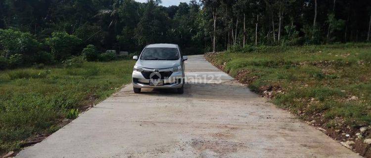 Dekat Stasiun Krl Wates Kota, Tanah Jogja SHM Siap Balik Nama 1