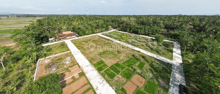 Tanah Murah Ngombol Purworejo, Dekat Wisata Hutan Mangrove 1