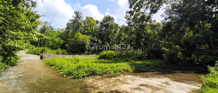 Tanah Shmp di Komplek Pemda Wates Kulon Progo Cocok Bangun Hunian 1