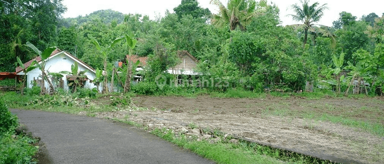 Tanah Imogiri, Bantul Yogyakarta Legalitas SHM Pekarangan 1