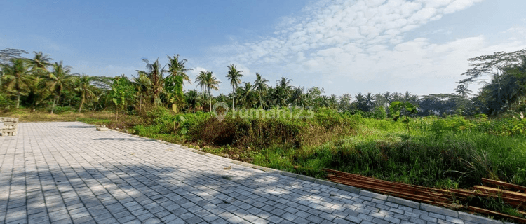 Area Bandara Yia Wates Kulon Progo Dijual Tanah SHM Di Tawangsari 1