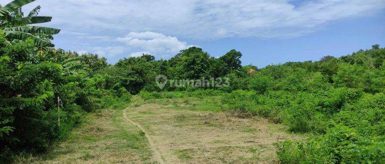 Tanah Di Jalan Utama Jimbaran dekat Resort 1