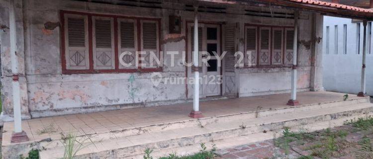 Rumah Tua Hitung Tanah Depan Jalan Pantura Tegal  Bebas Banjir 1