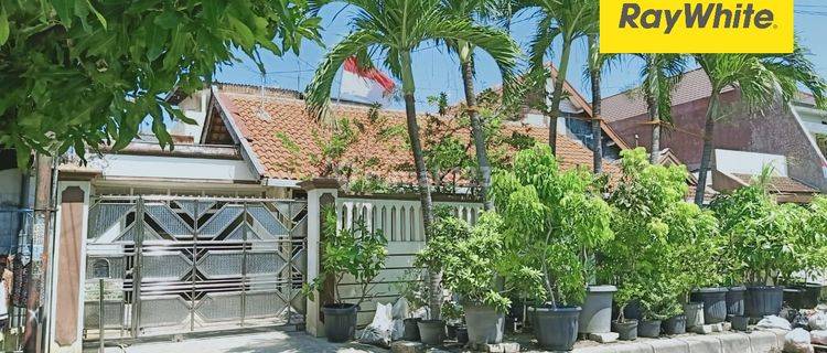 Disewakan Rumah Pusat Kota di Jl Jimerto Bkr Pelajar Surabaya 1