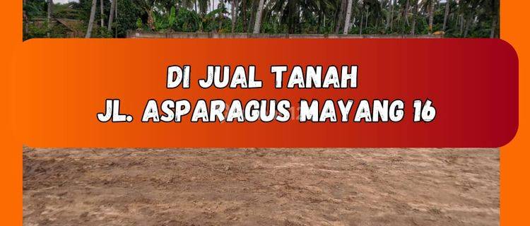 Tanah Kavlingan Siap Bangun Lokasi Asparagus Mayang 16 1