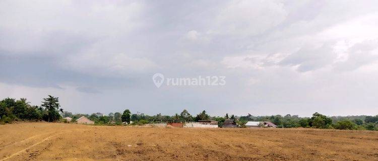 Jual Cepat Tanah di Kebun 9, Sertifikat Hak Milik 1