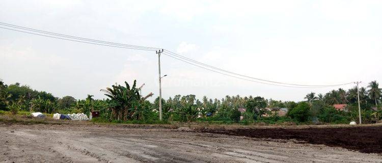 Tanah Murah Tanjung Nangko Kasang 1