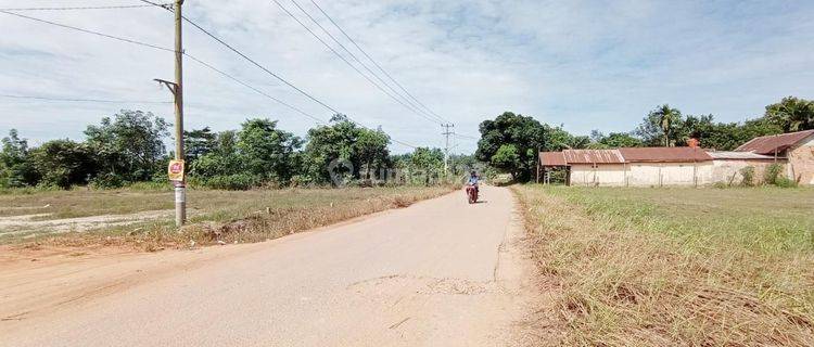 Tanah Sertifikat Lokasi Kebun 9, Harga 16 Juta Tumbuk 1