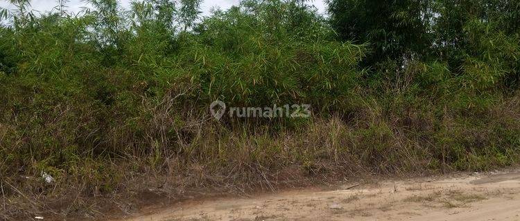 Tanah Murah Depan Kampus Unja Mendalo 1