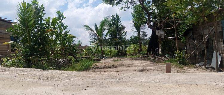 Tanah Siap Bangun Kebun Daging Jambi 1