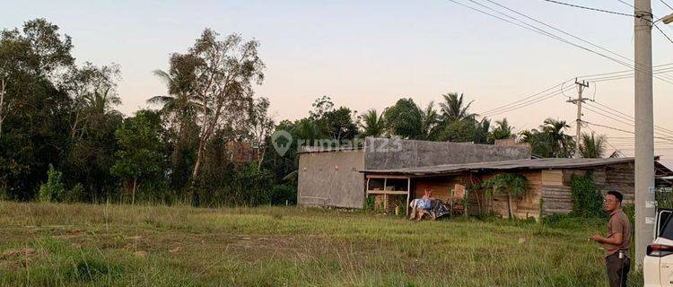 Tanah Murah Dekat Perumahan Mutiara Barangan 3 Palembang  1