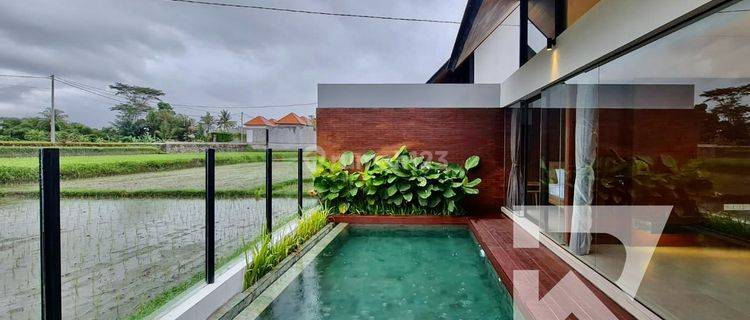 Comfy 2 Bedroom Private Villa In Ubud Bali For Rent Yearly 1